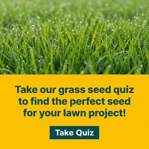 blog-quiz-banner-mobile