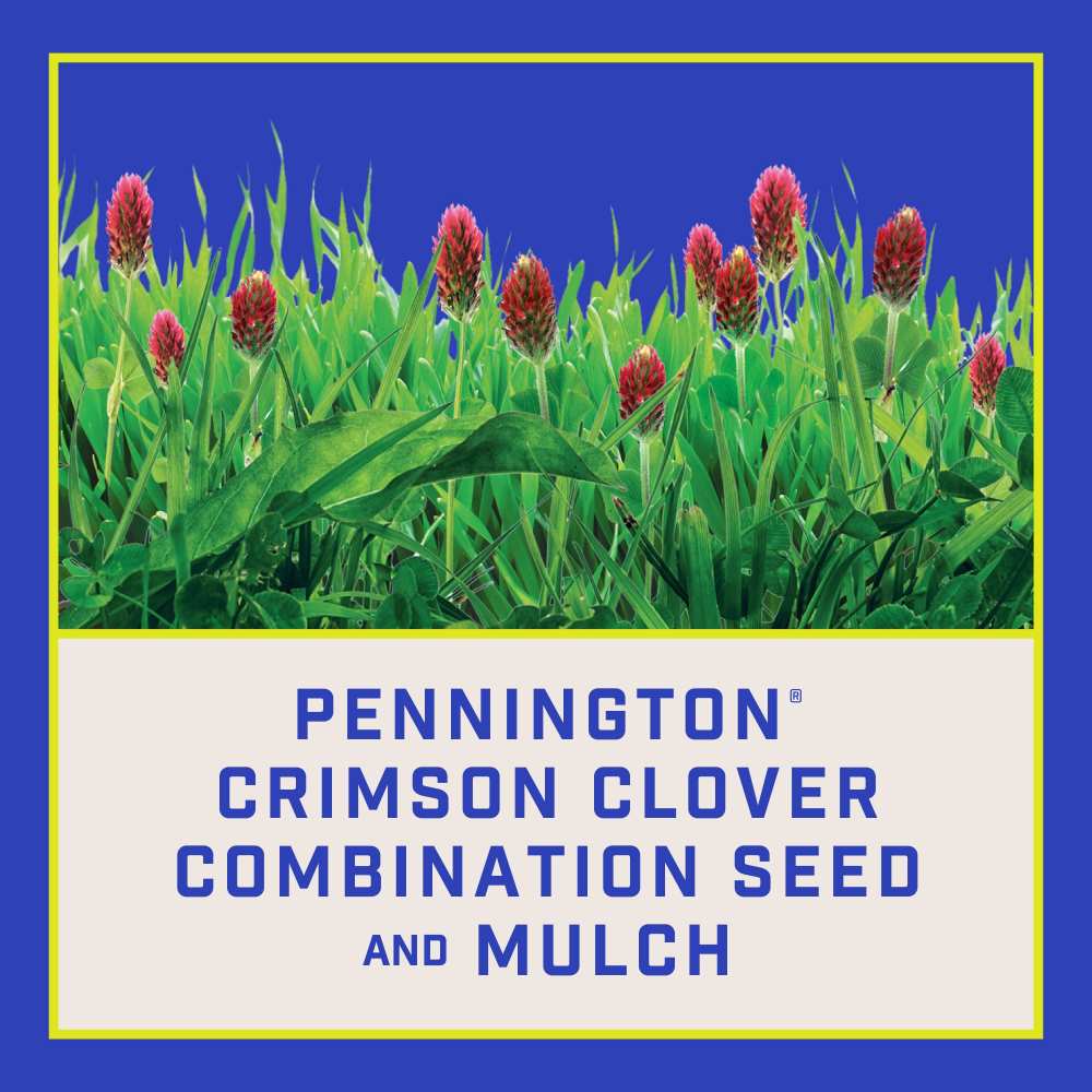 Pennington Crimson Clover 2 lb