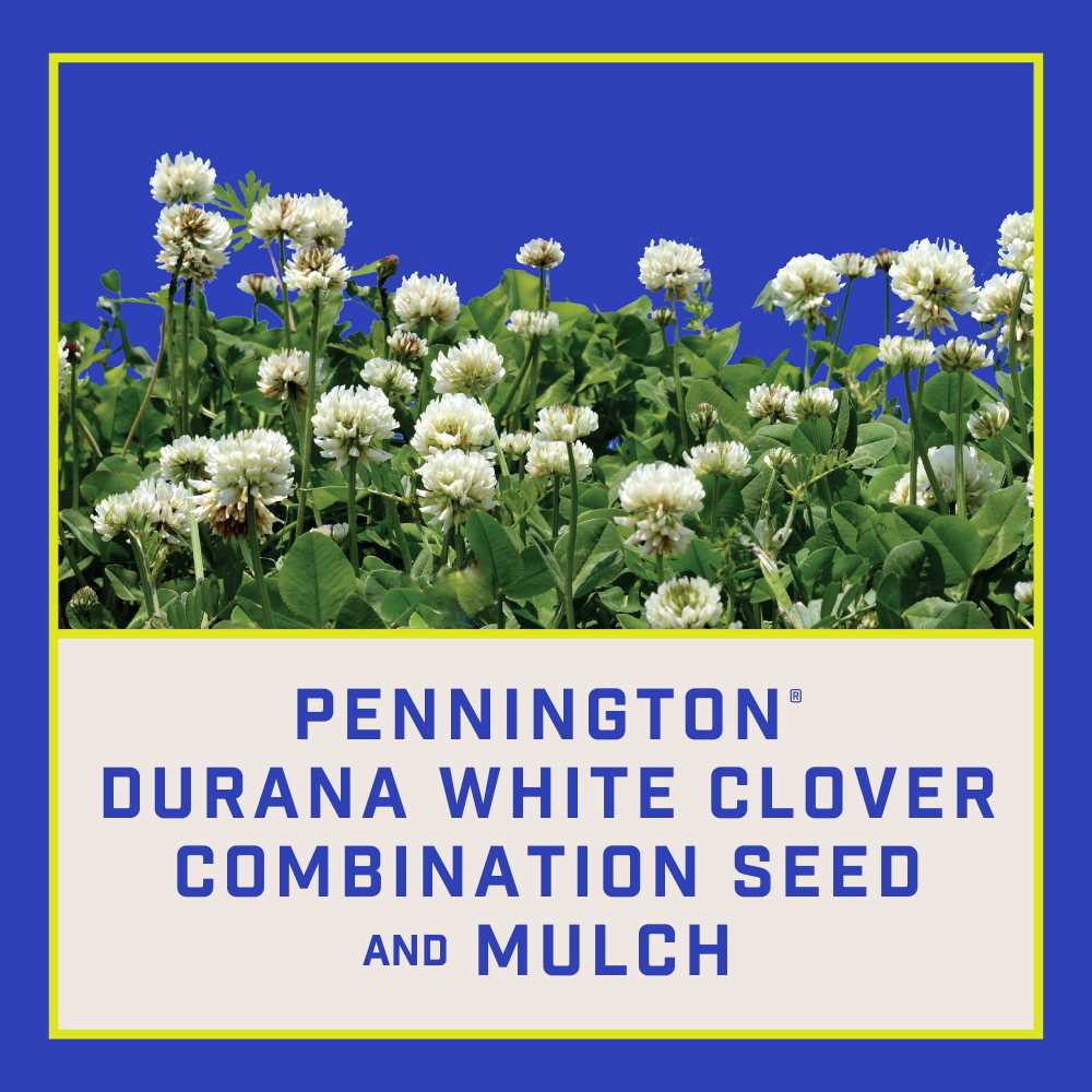 Pennington Durana White Clover 2 lb