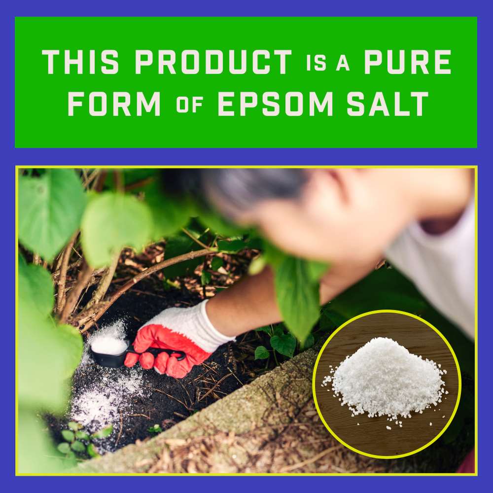 Pennington Epsom Salt