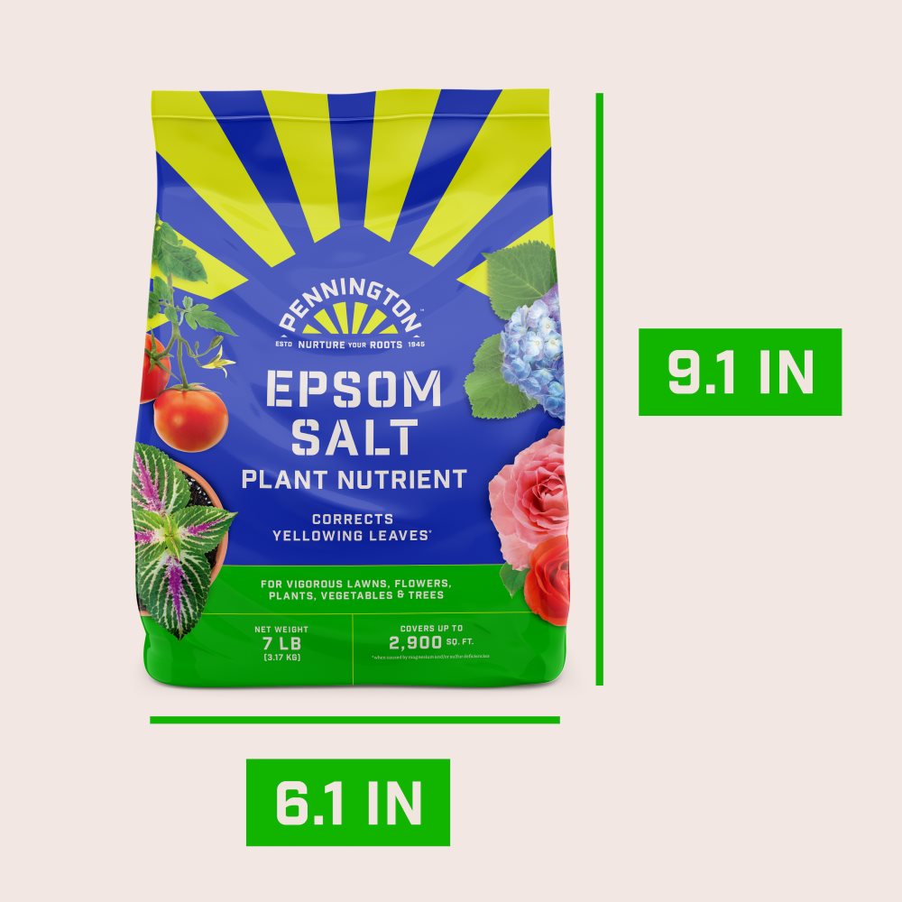 pennington-epsom-salt-image-alt-12