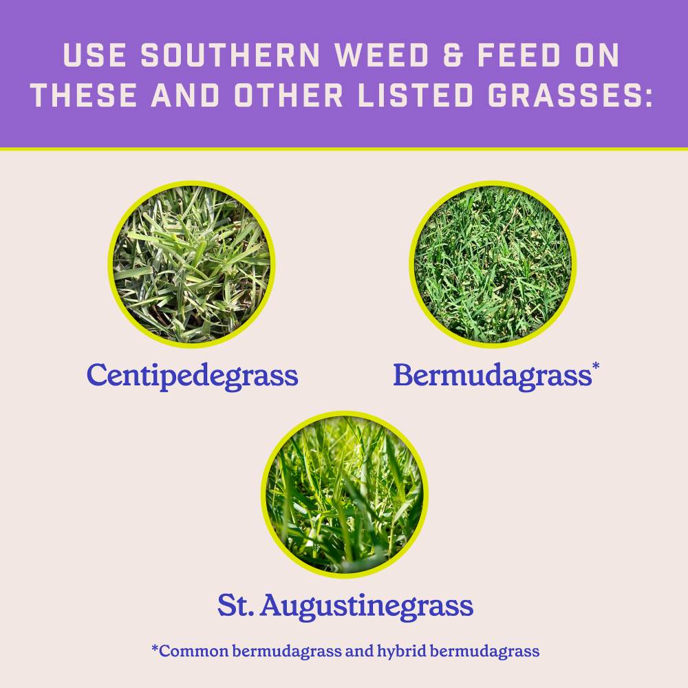 pennington-full-season-southern-weed-feed-image-alt-4