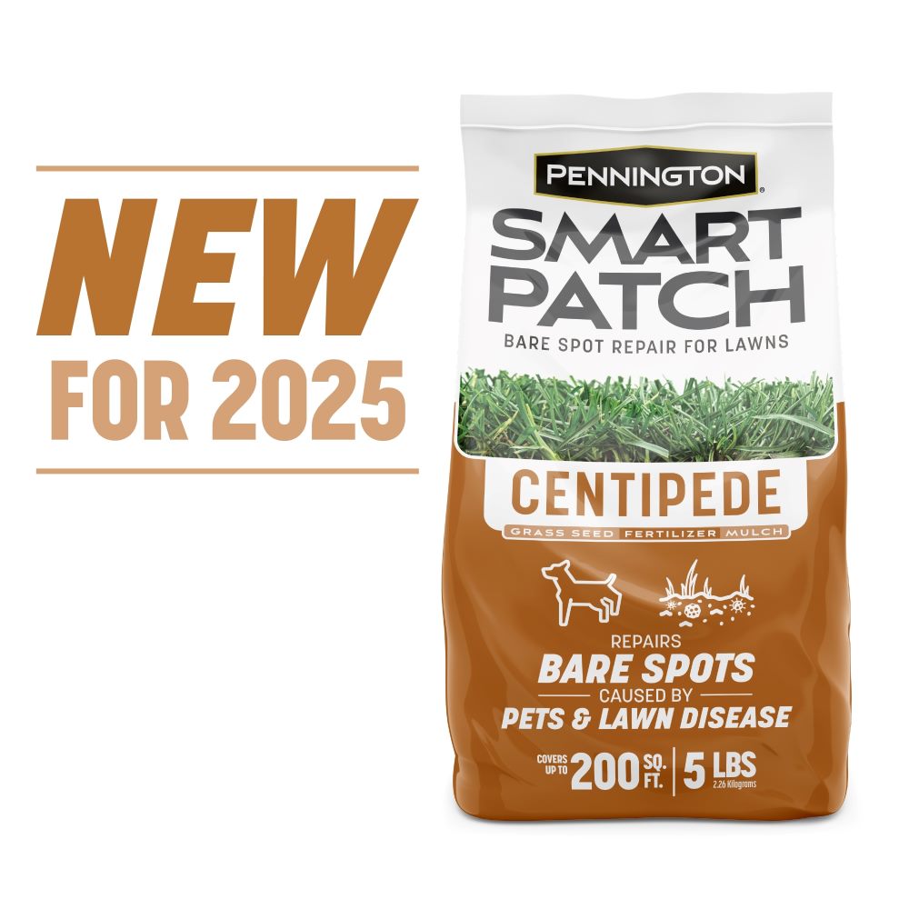 Pennington Smart Patch Centipede Mix 5 lb