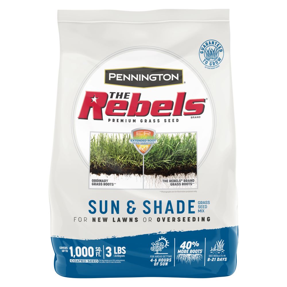 pennington the rebels sun and shade