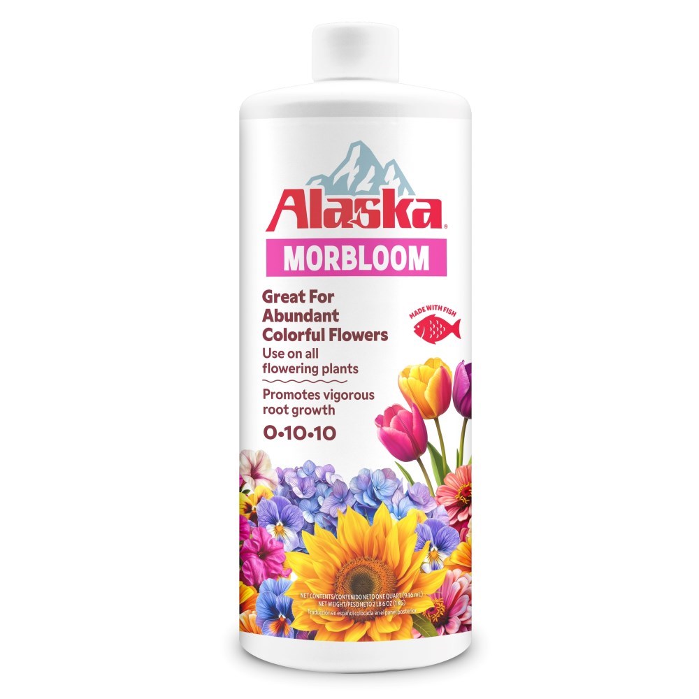 alaska morbloom