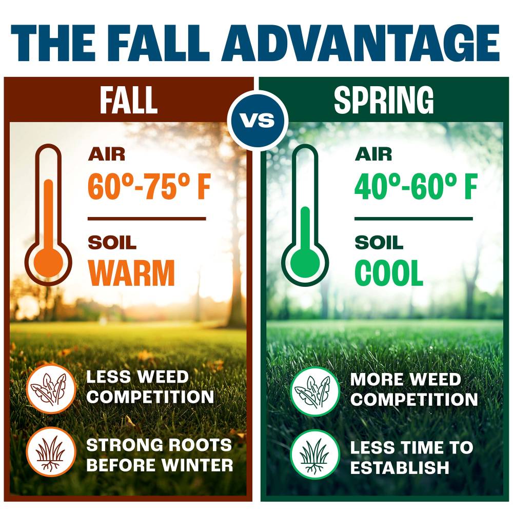 pennington the fall advantage