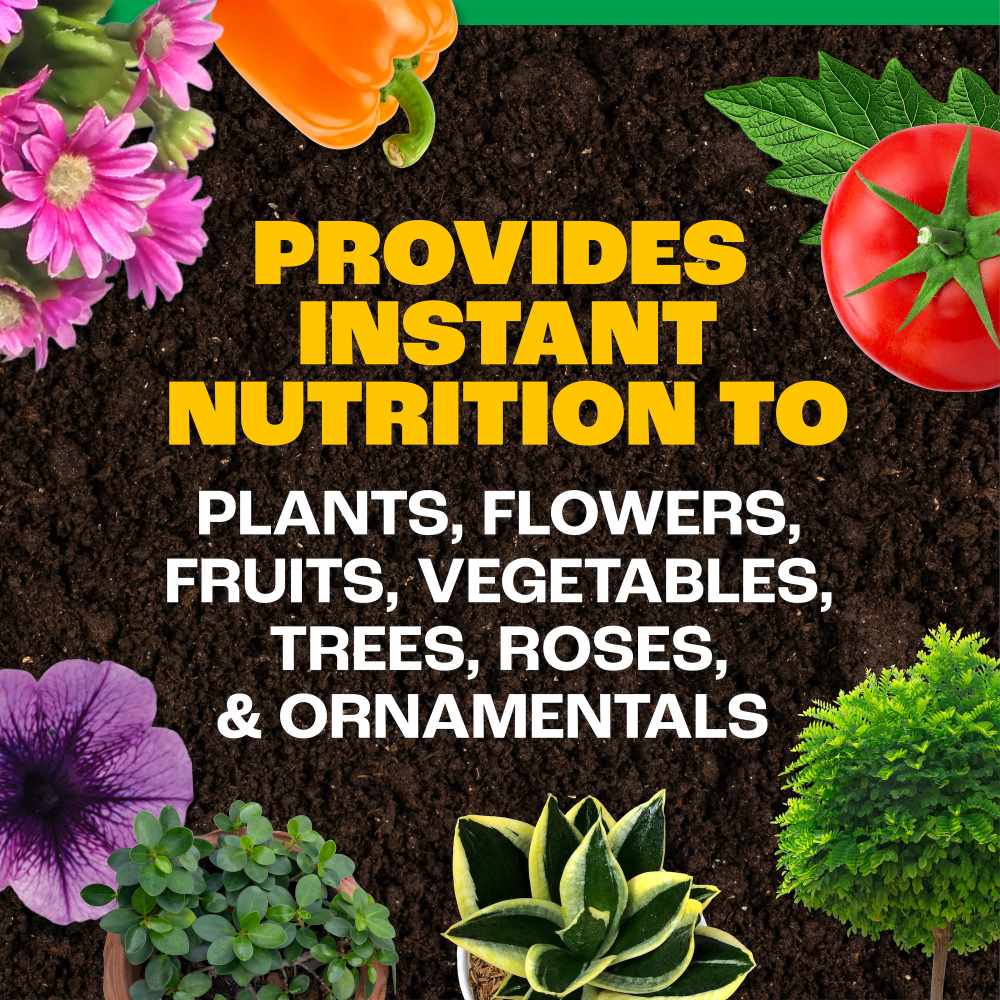 pennington all purpose water soluble plant food