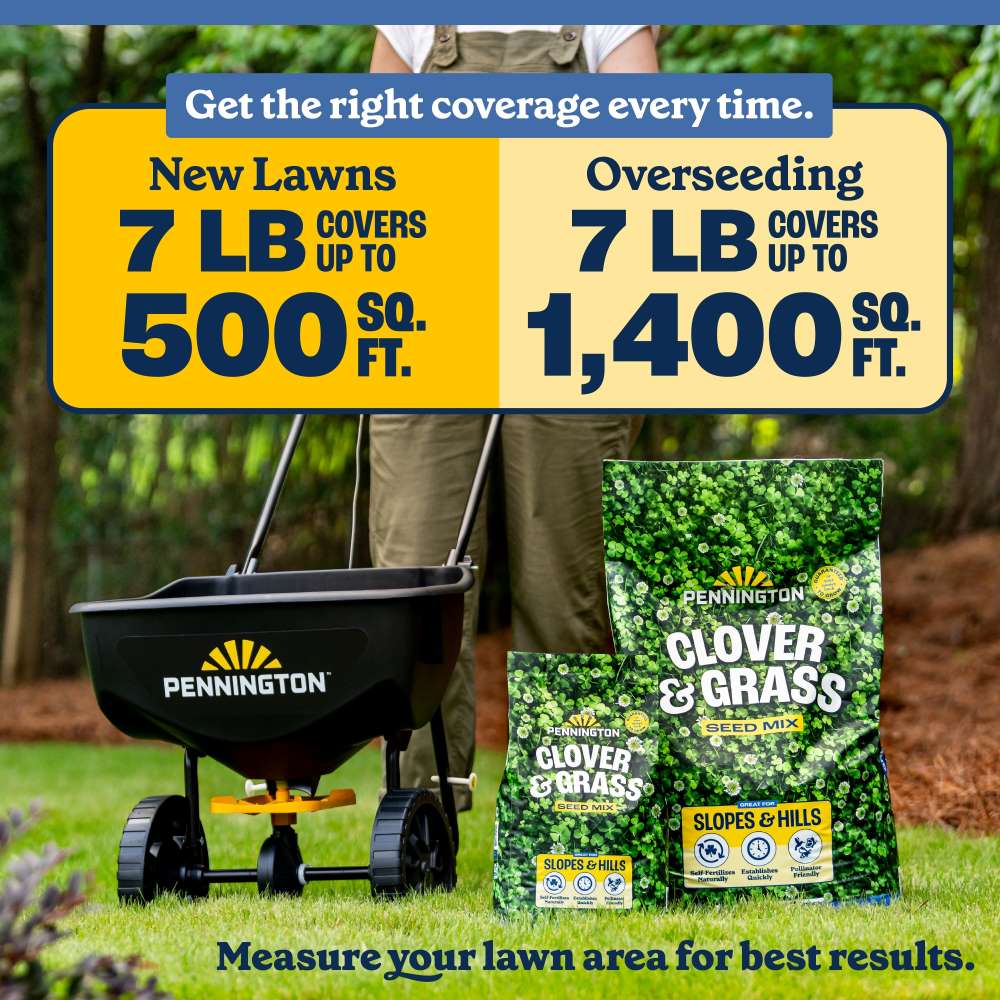 pennington clover and grass seed mix