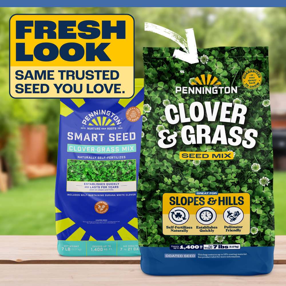 pennington clover and grass seed mix