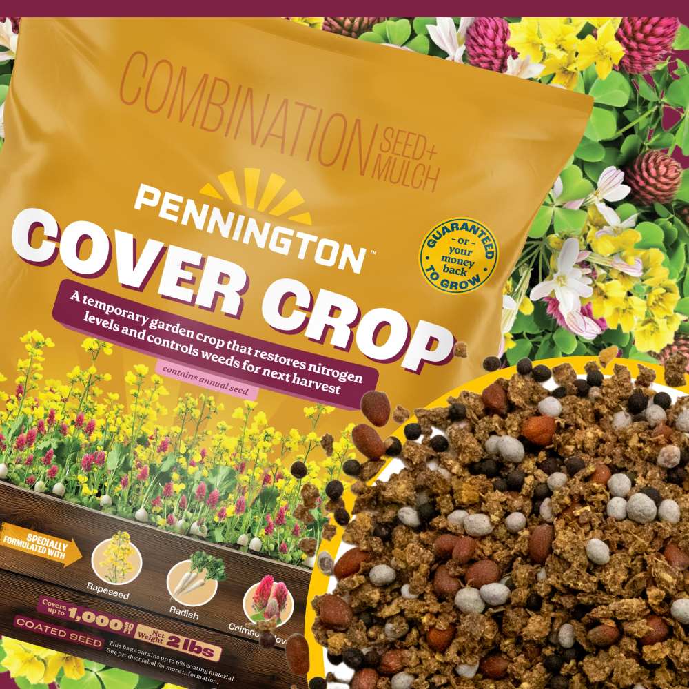 pennington cover crop