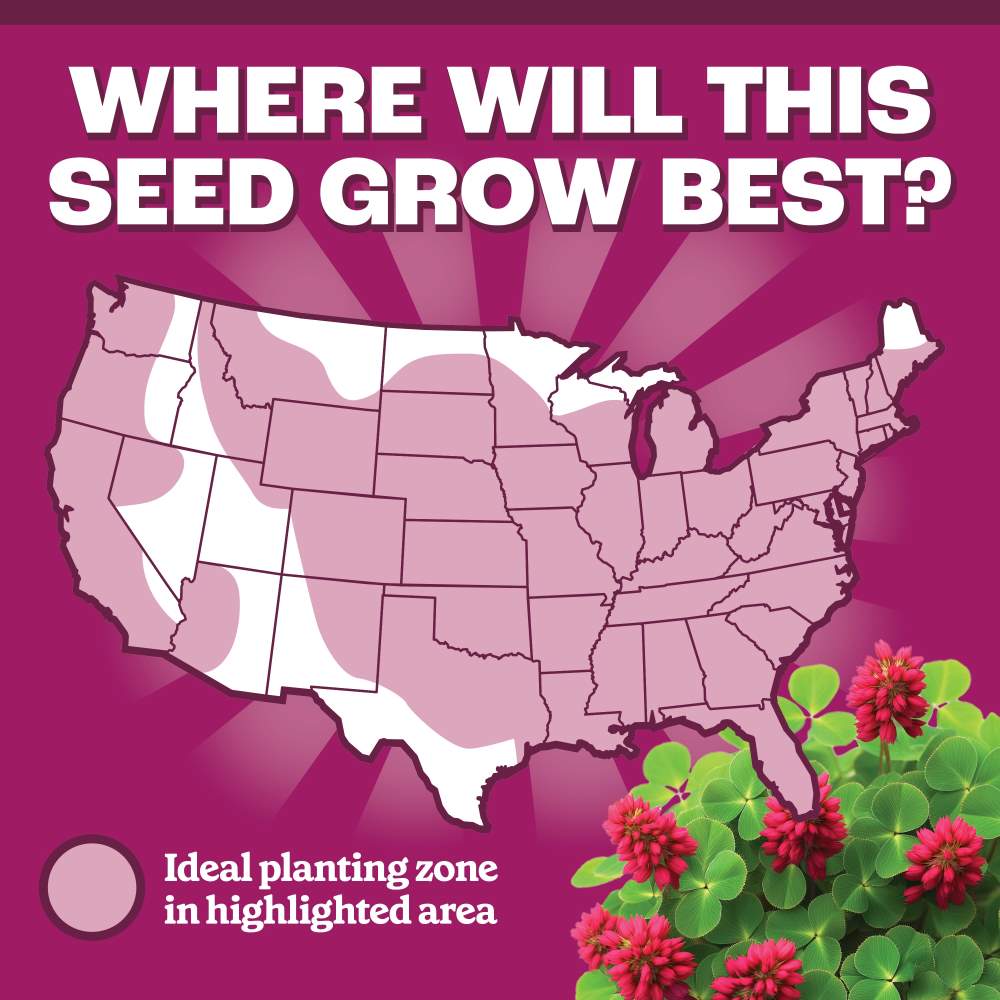 pennington crimson clover