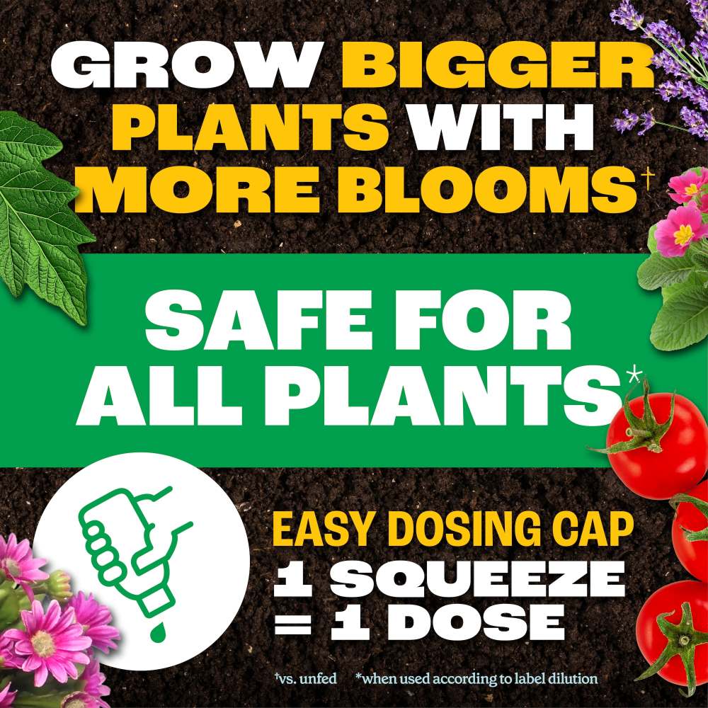 pennington easy dose all purpose plant food