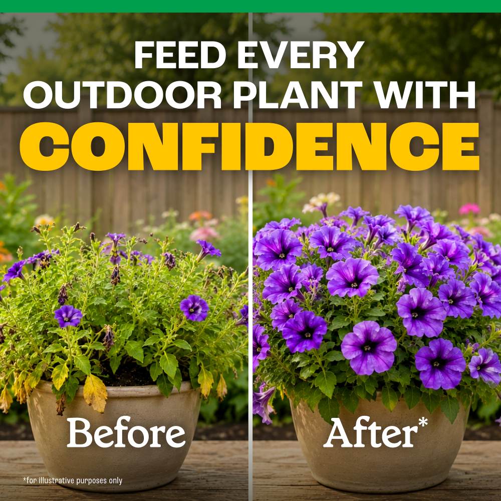 pennington easy dose all purpose plant food