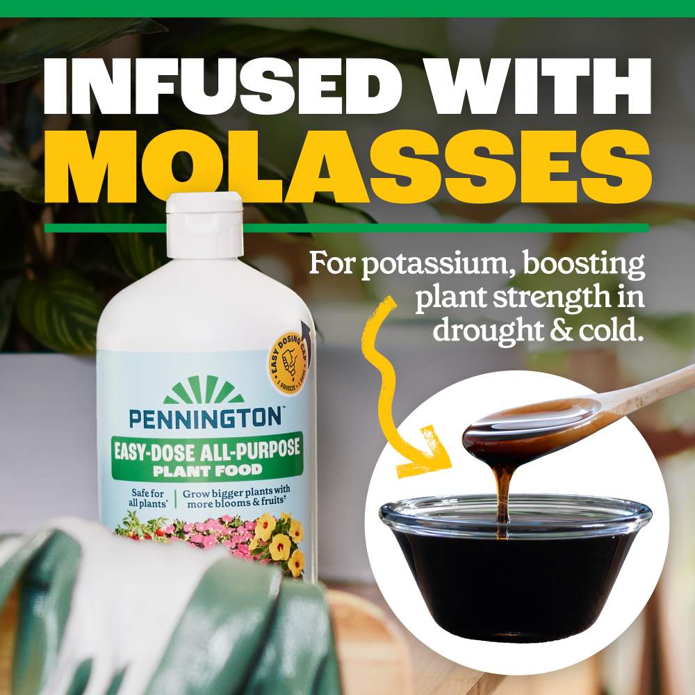 pennington easy dose all purpose plant food