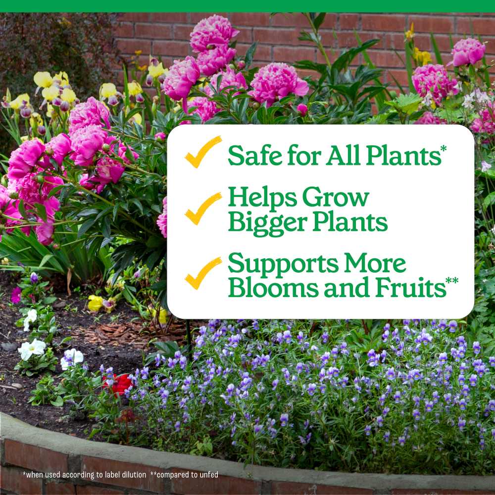 pennington easy dose all purpose plant food