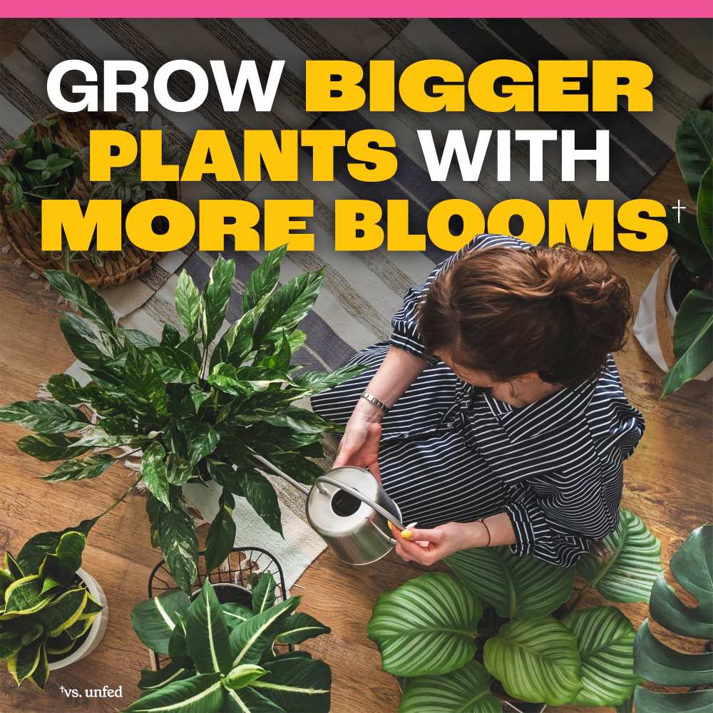 pennington easy-dose indoor houseplant food