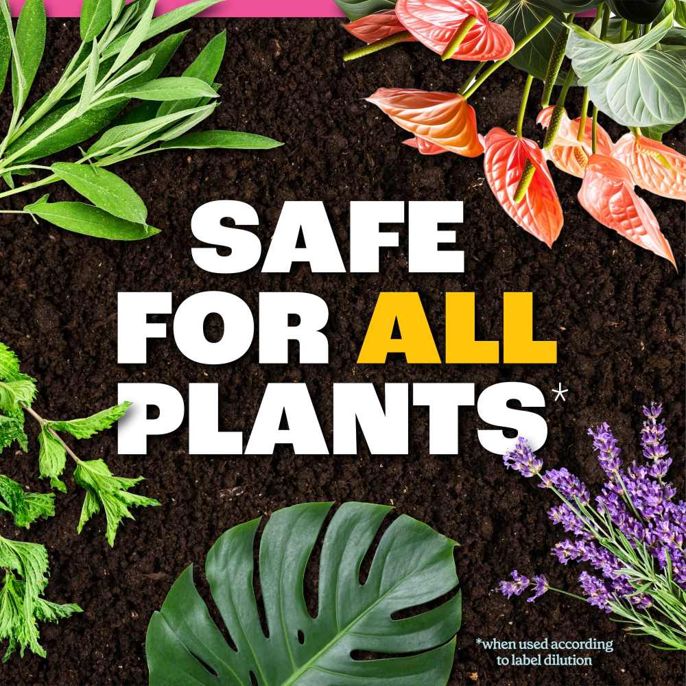 pennington easy-dose indoor houseplant food