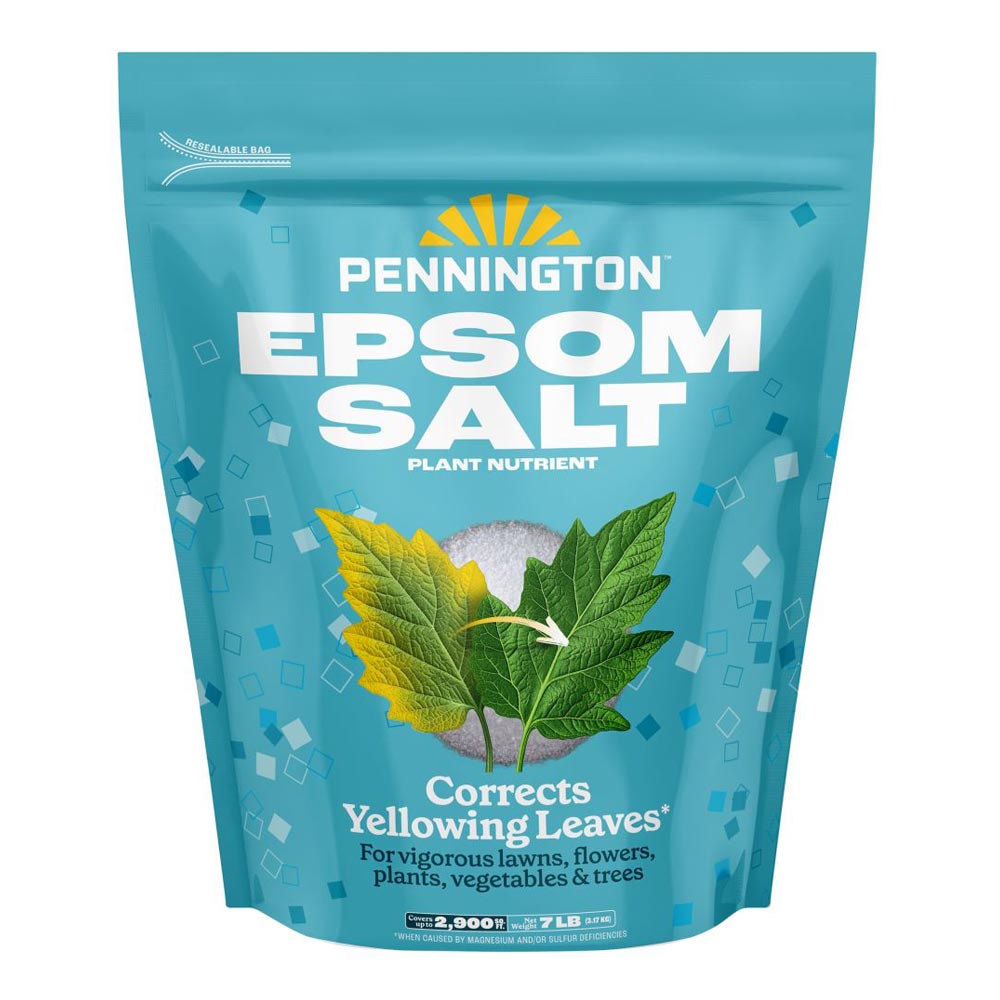 pennington epsom salt