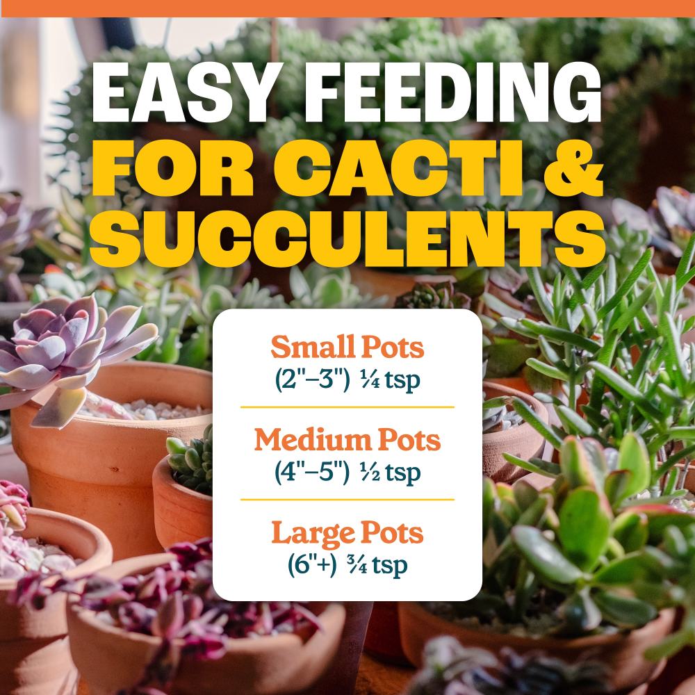 pennington full season cactus succulent plant food