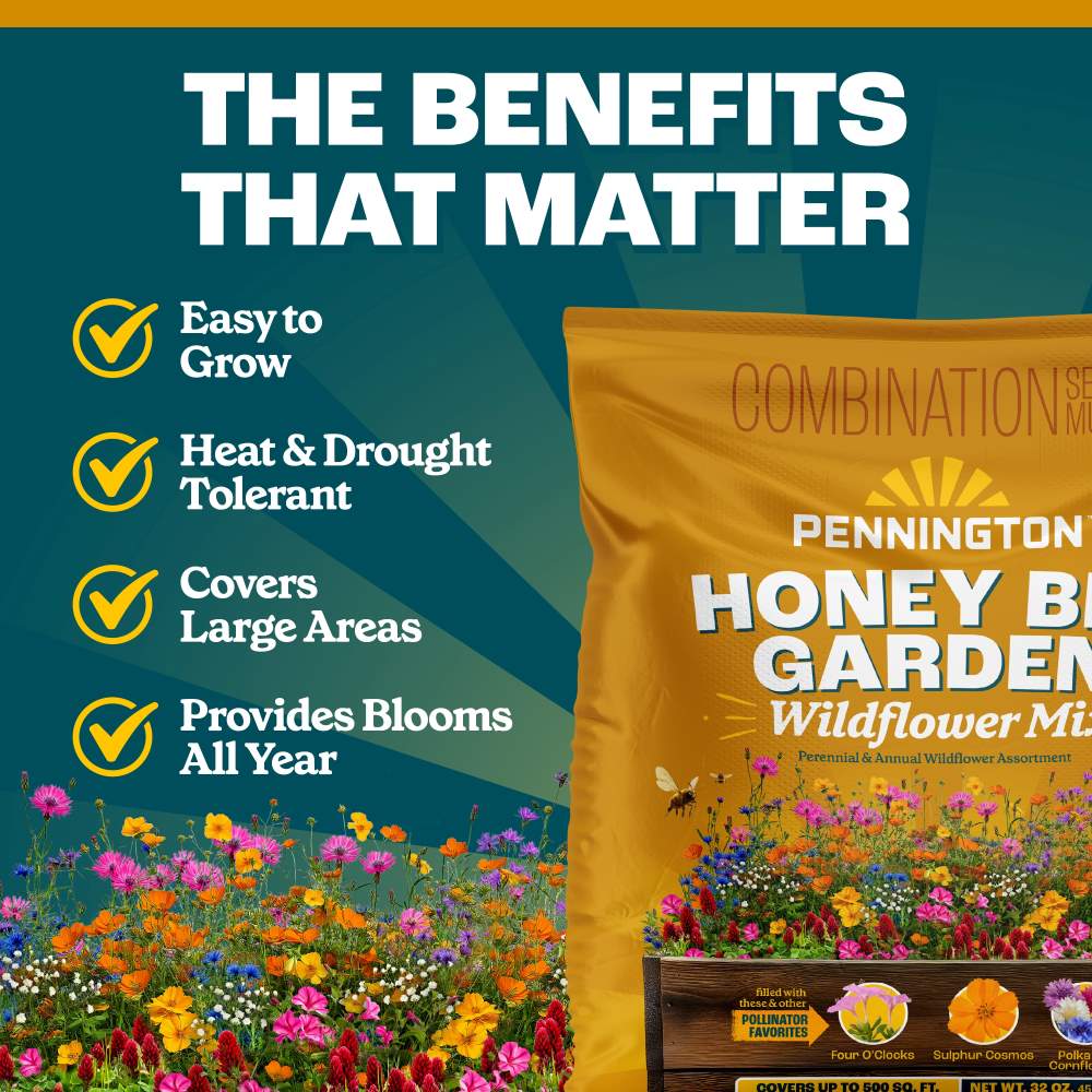 pennington honey bee garden wildflower mix
