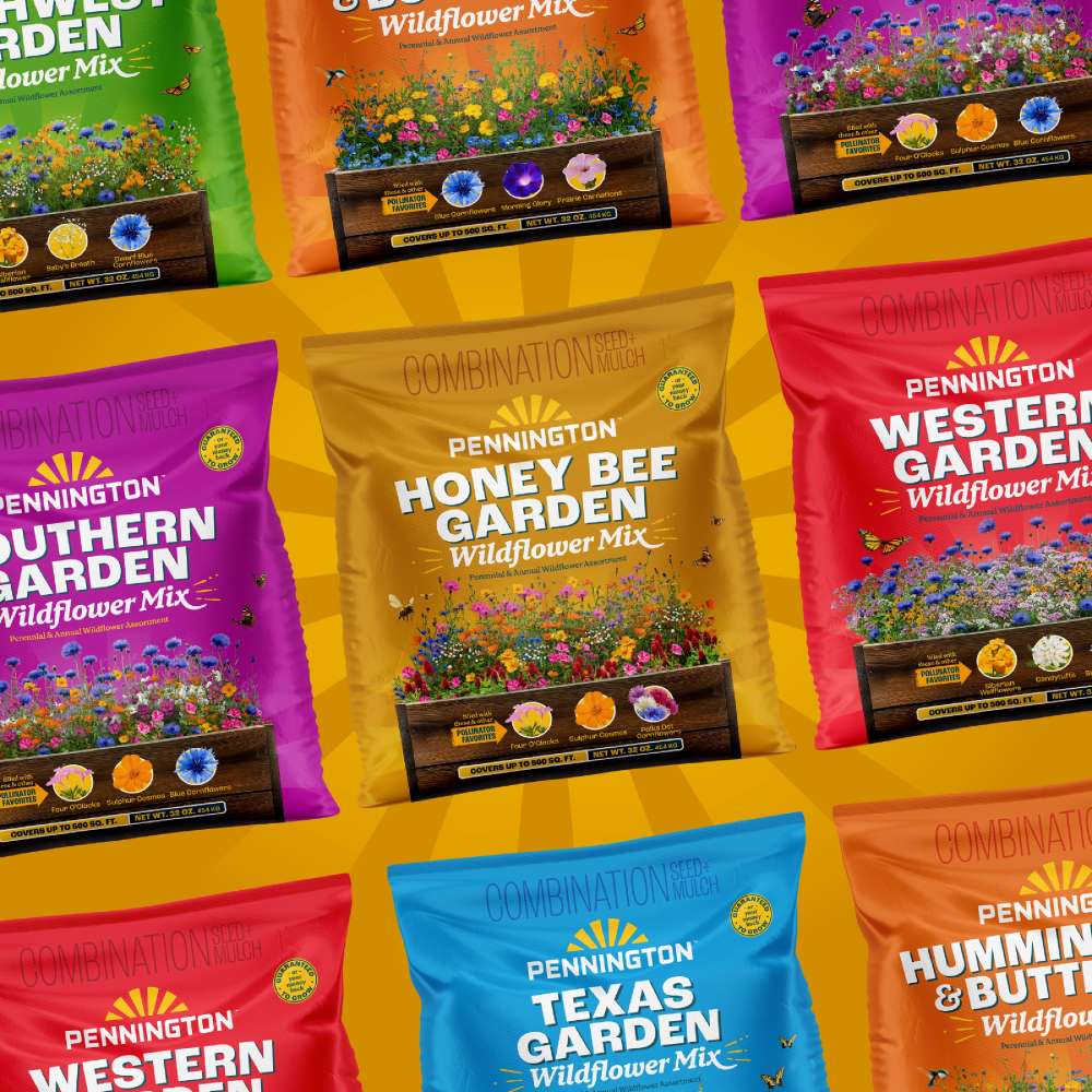 pennington honey bee garden wildflower mix