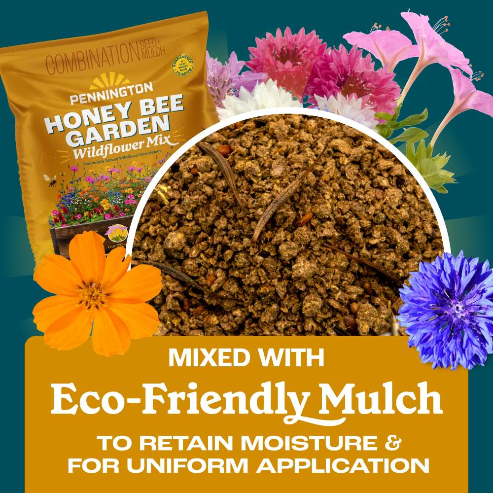 pennington honey bee garden wildflower mix