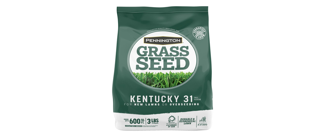 pennington kentucky 31