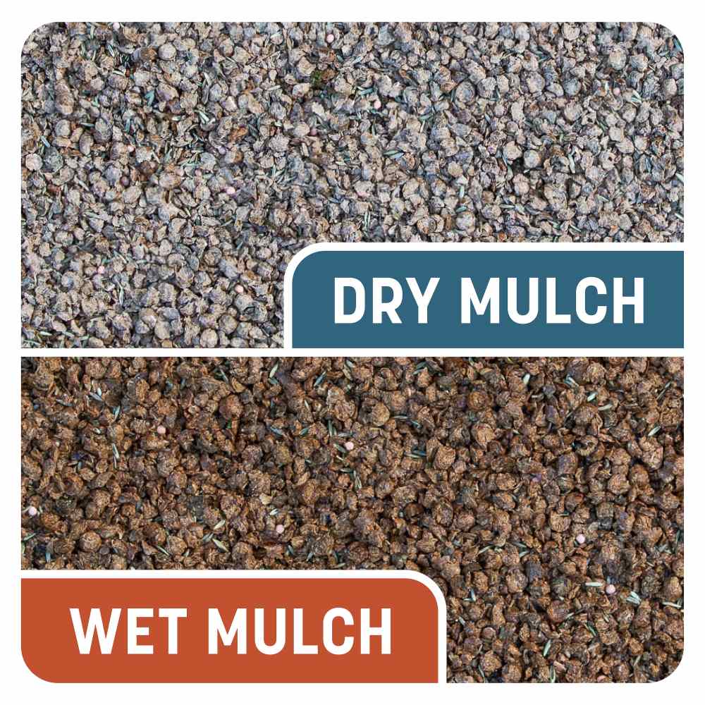 pennington smart patch bermuda