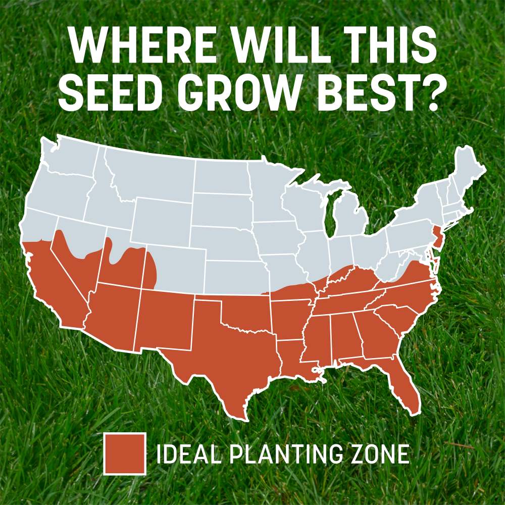 pennington smart patch bermuda