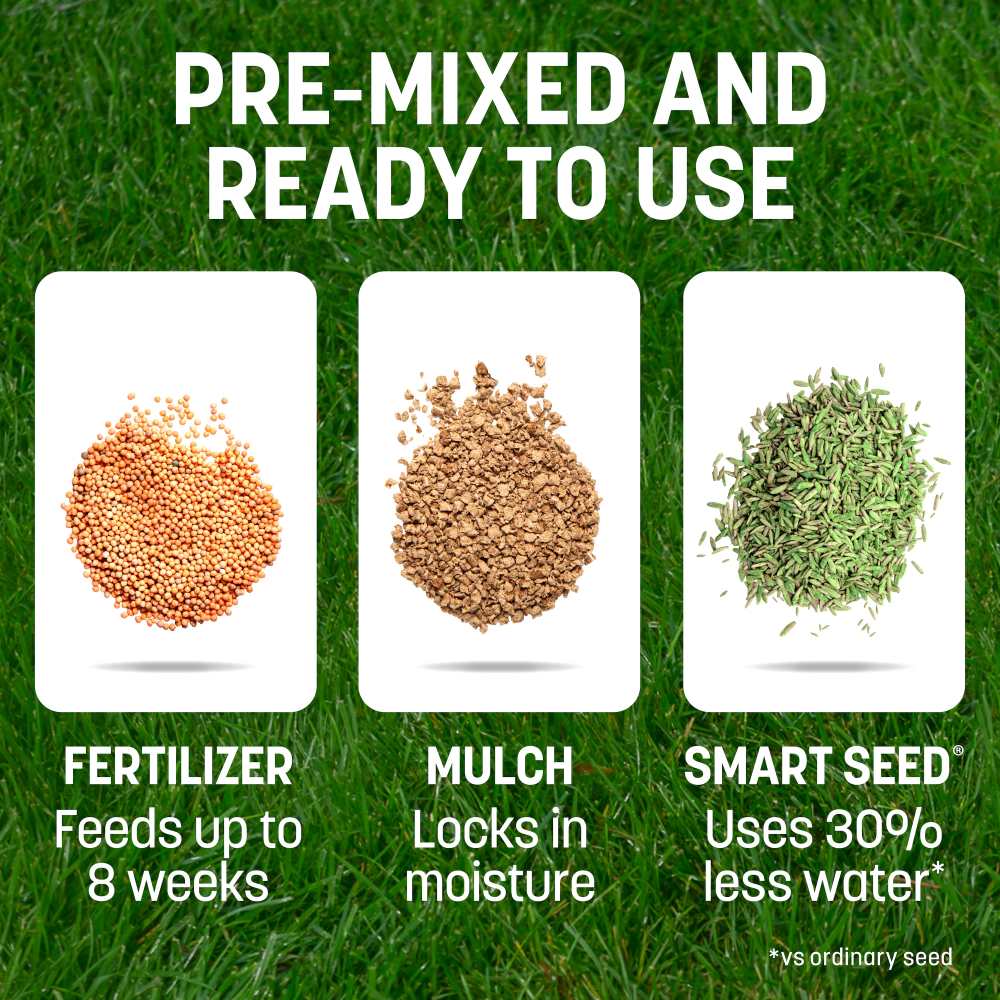 pennington smart patch tall fescue