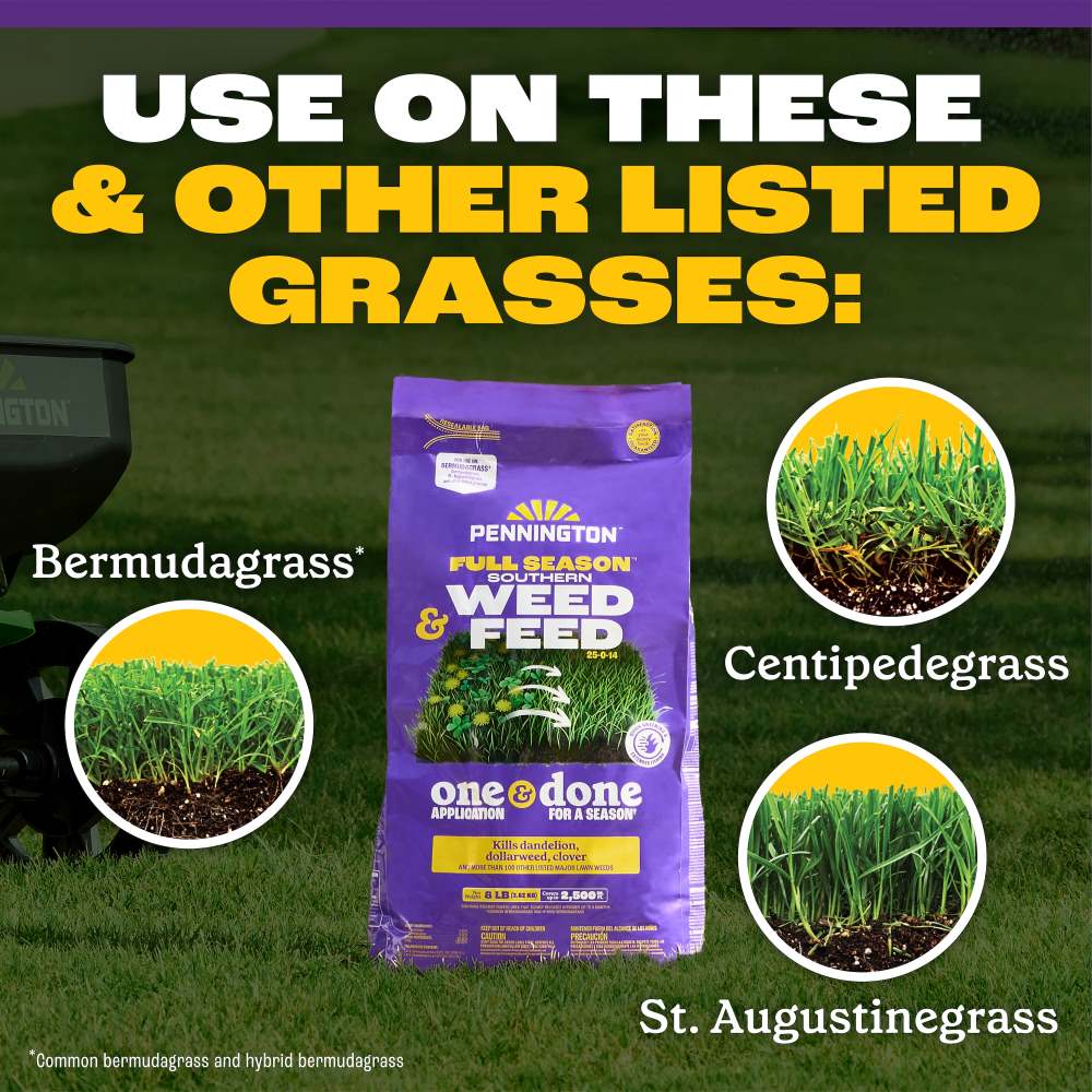 pennington full season southern weed and feed