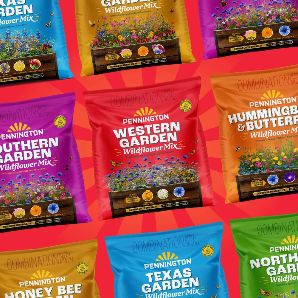 pennington western garden wildflower mix