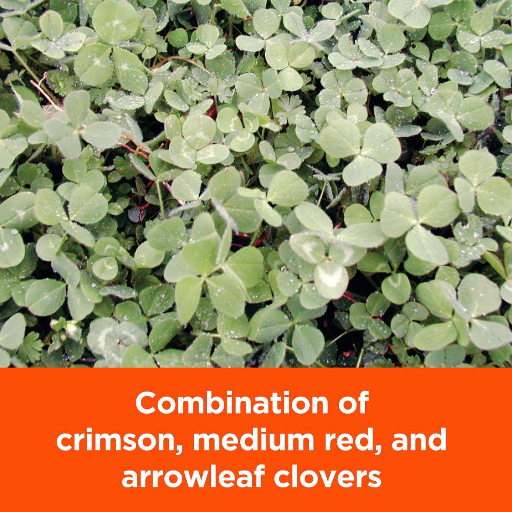 pennington rackmaster clover trio