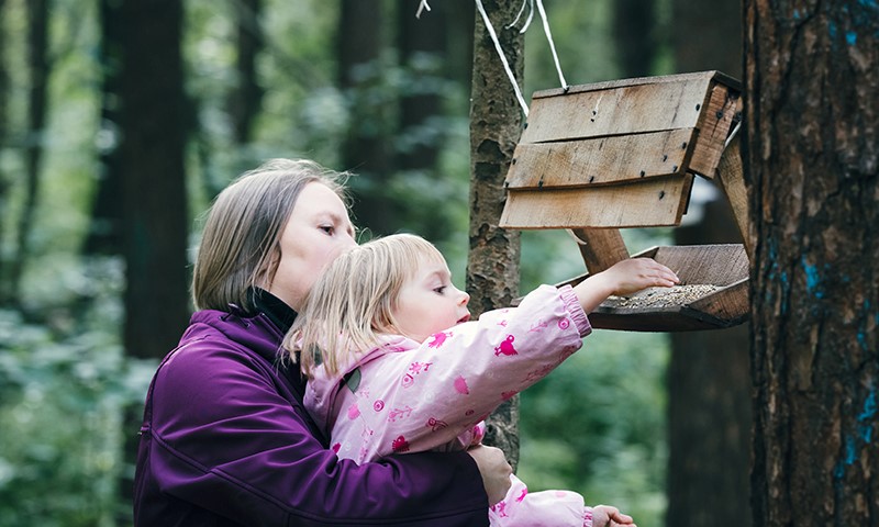 Backyard birding is for all ages