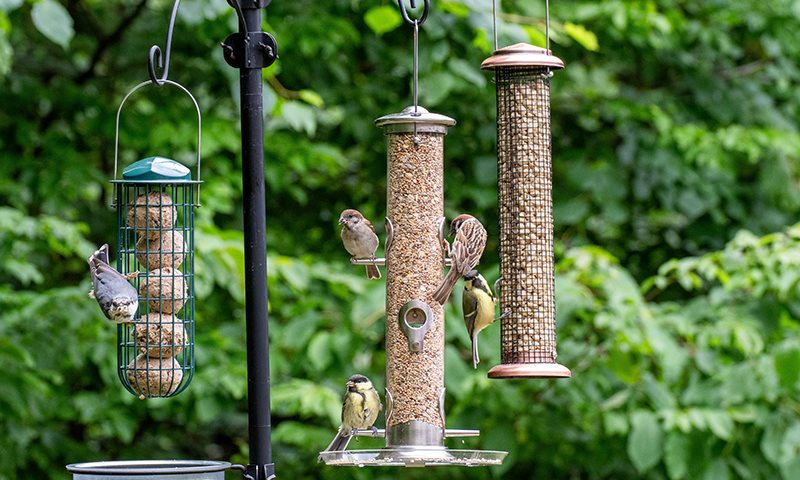 tube bird feeder