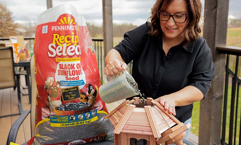 pennington recipe select black oil sunflower seed