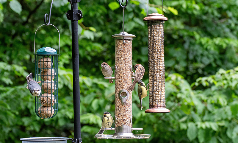 variety of feeders