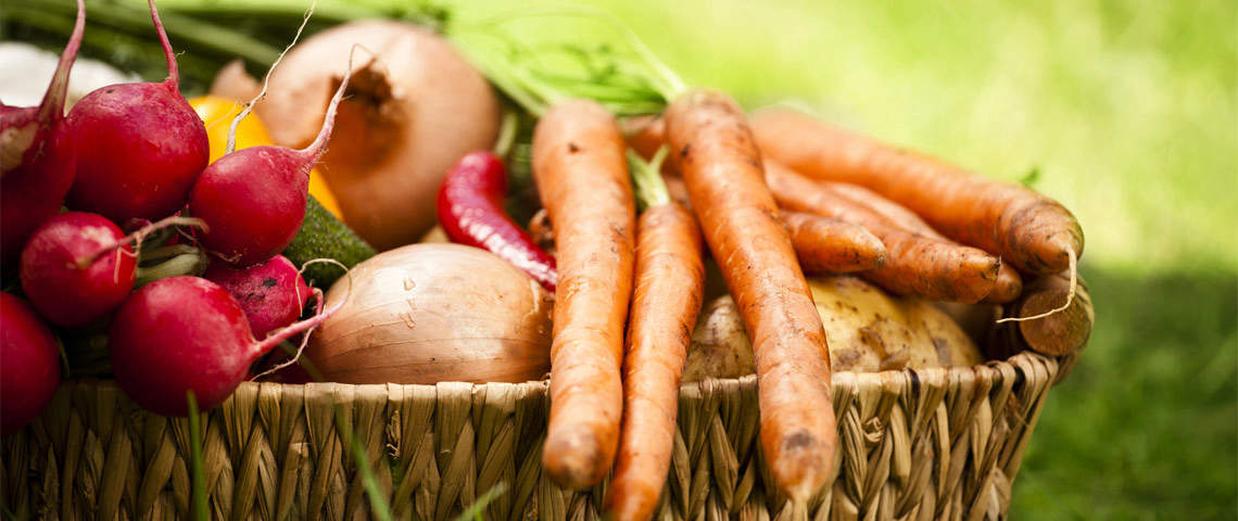 Basket With Organic Vegetables