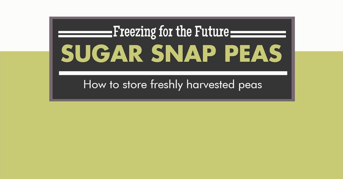 how-to-freeze-sugar-snap-peas