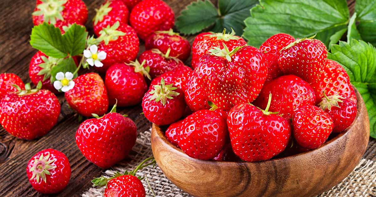 https://www.pennington.com/-/media/Project/OneWeb/Pennington/Images/blog/fertilizer/How-to-Grow-Strawberries/Strawberry-og.jpg