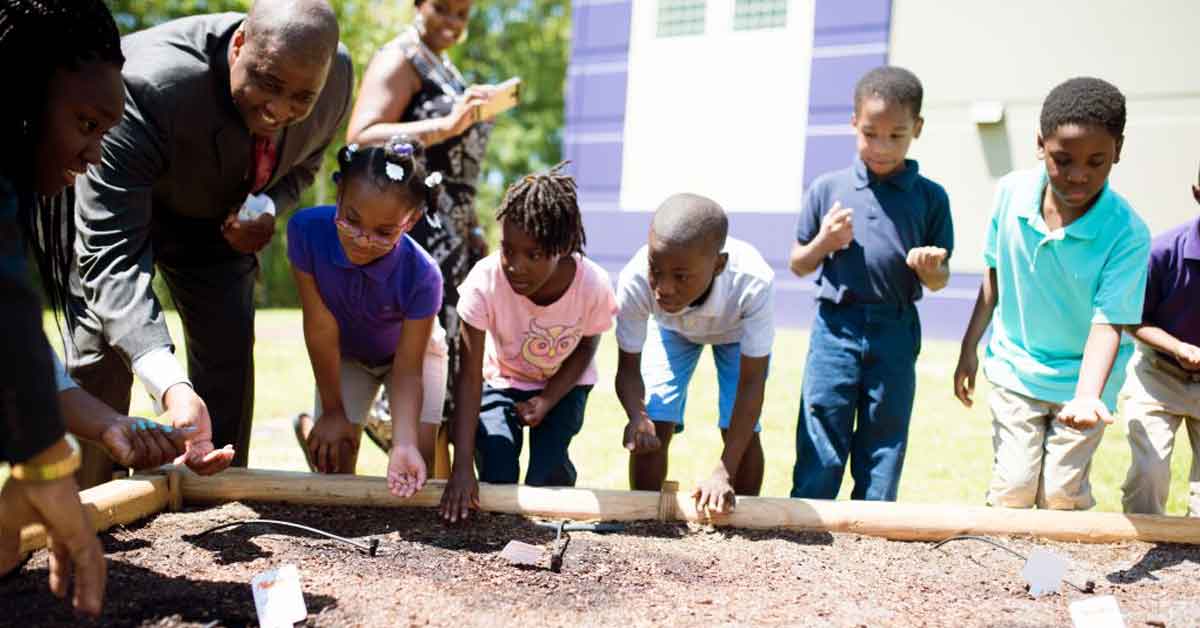 the-many-benefits-of-starting-a-school-garden