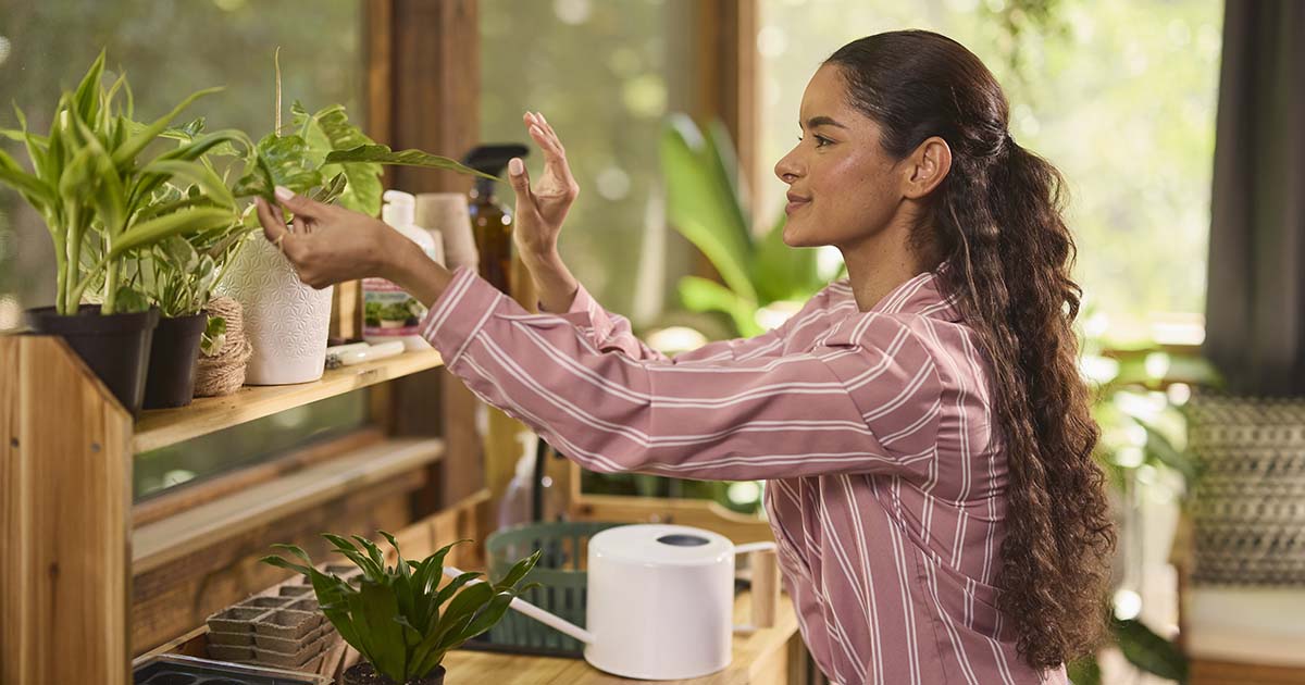 giving for houseplants a fall refresh