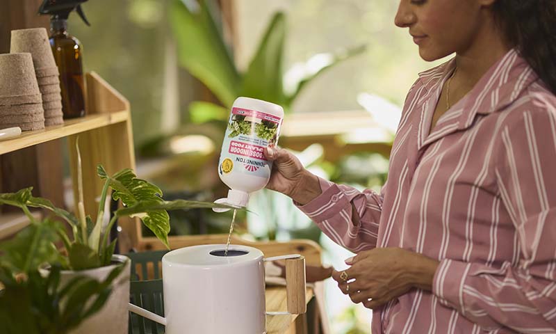 feeding houseplants pennington plant food