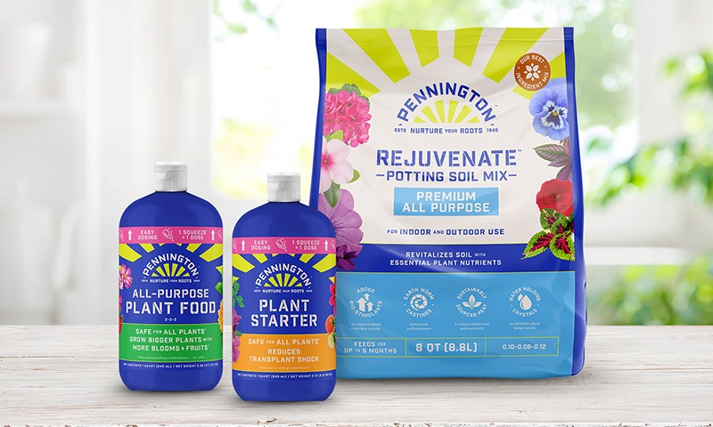 how to prep cleaned houseplants for winter