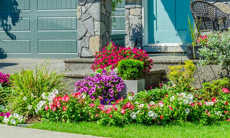 how to plan and plant the perfect front yard garden