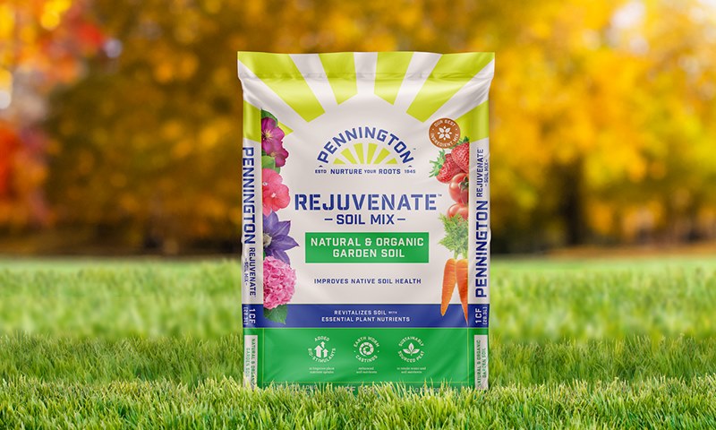 how and when should you plant in fall