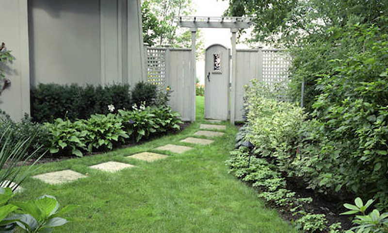 sun and shade lawn care