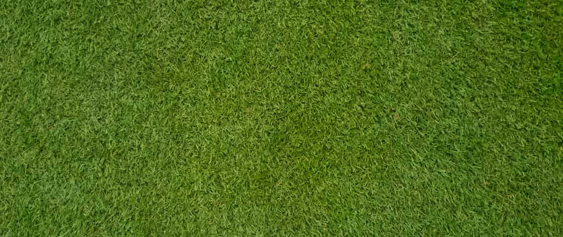 Month-by-Month Care Calendar for Warm-Season Lawns