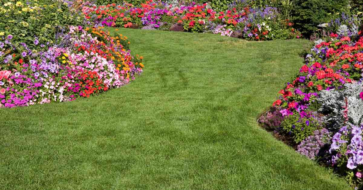 How To Choose The Right Grass Seed For Your Region