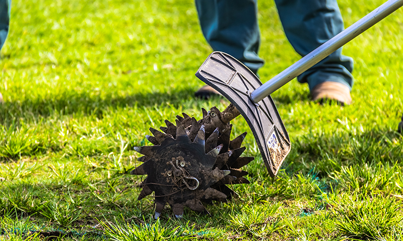 lawn aeration